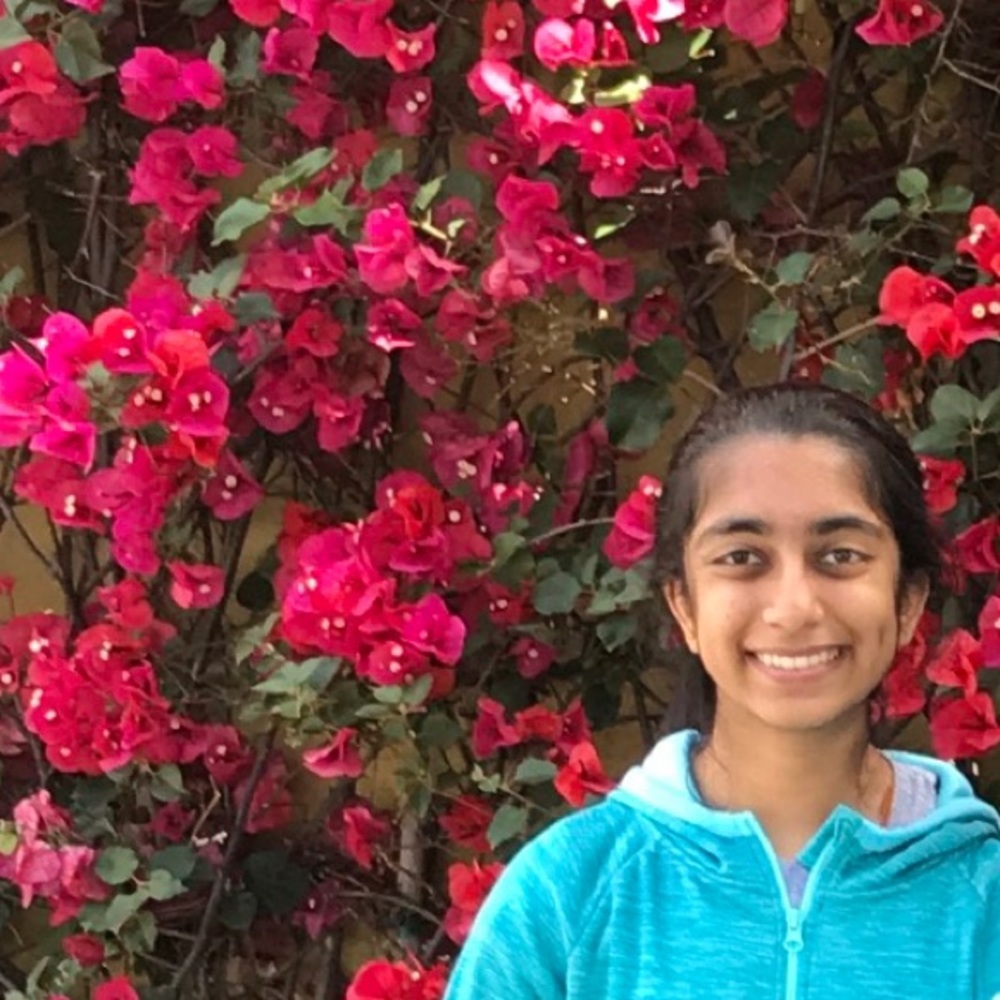 Meet your Posher, Jheel